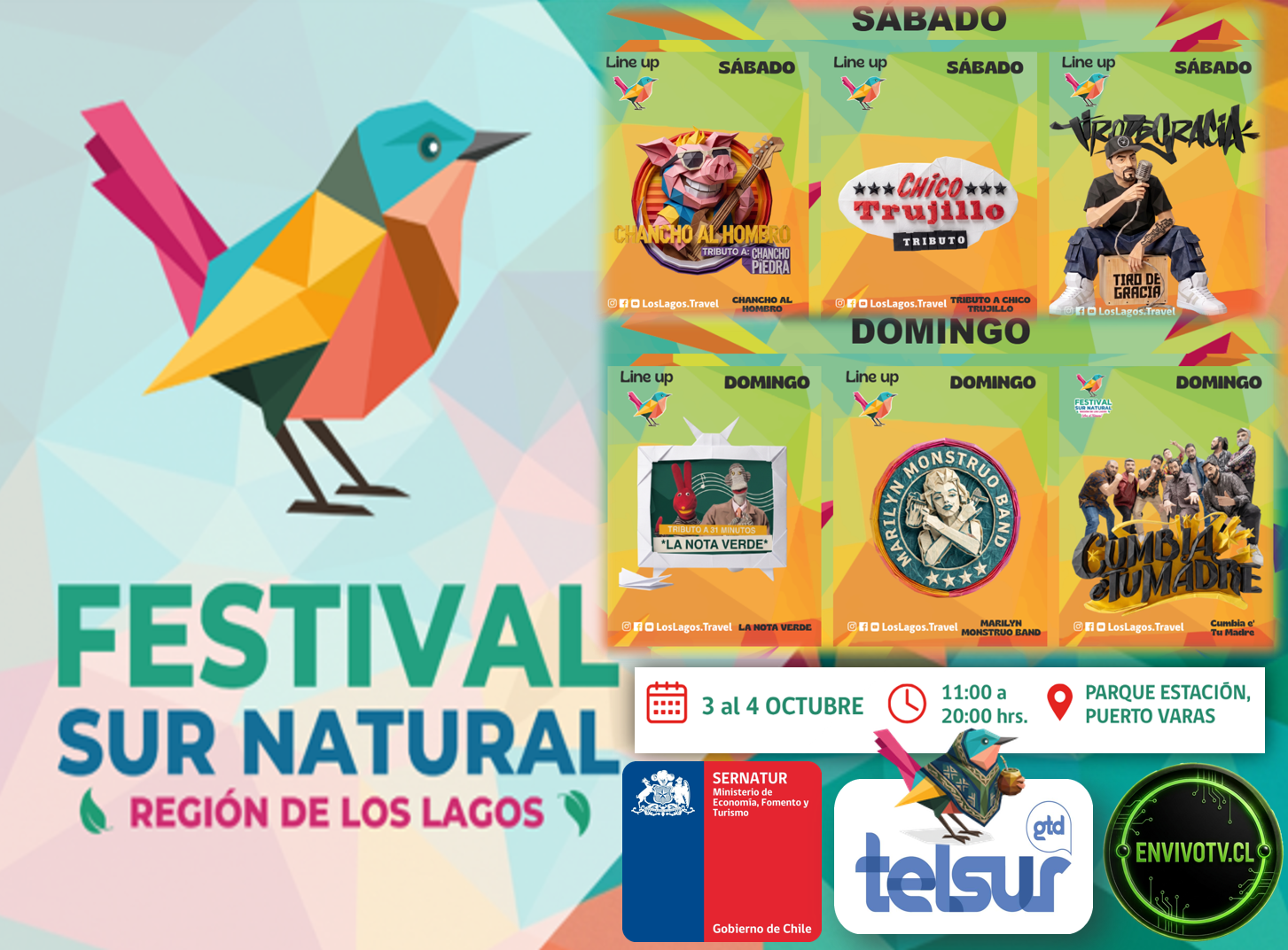 Afiche Festival Sur Natural